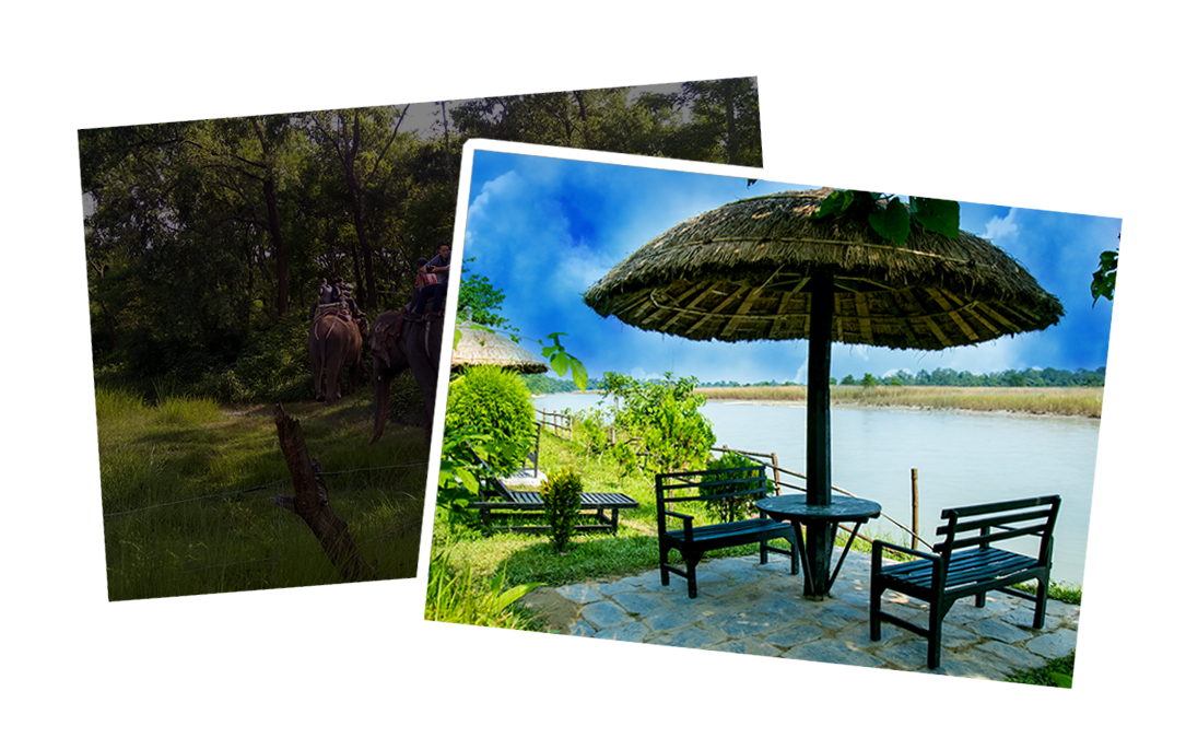 Island Jungle Resort