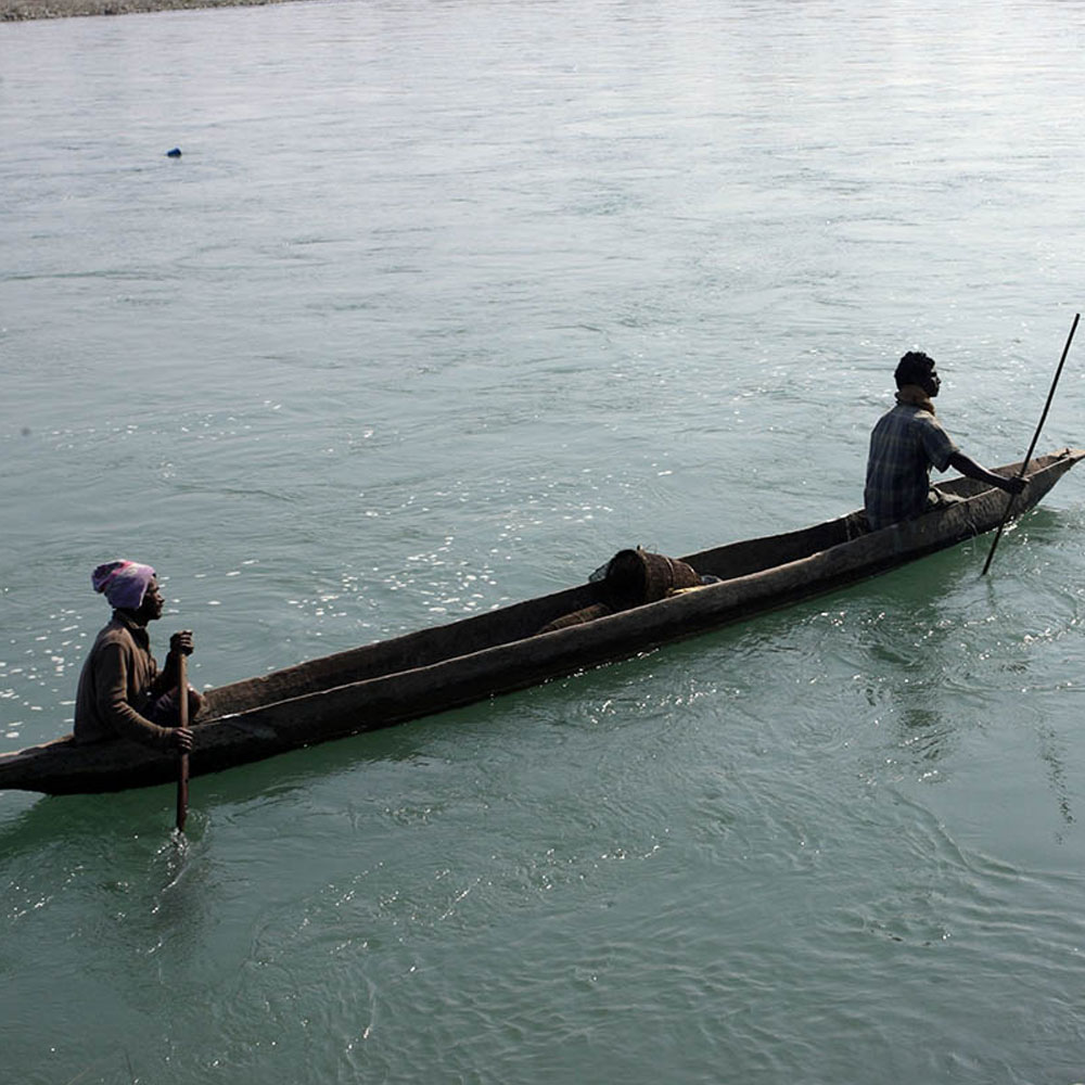 Island Jungle Resort