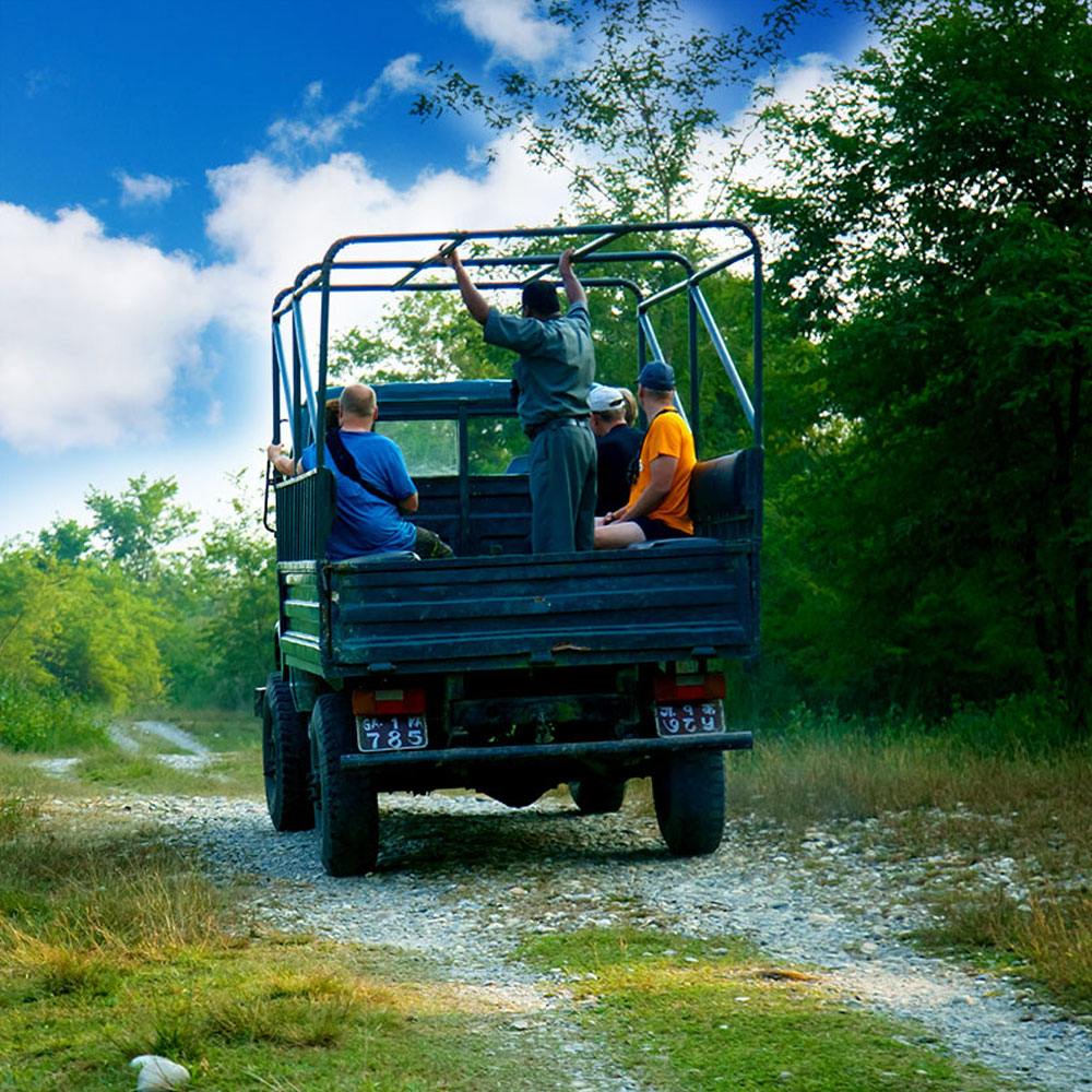 Island Jungle Resort