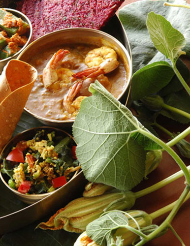 Island Jungle Resort