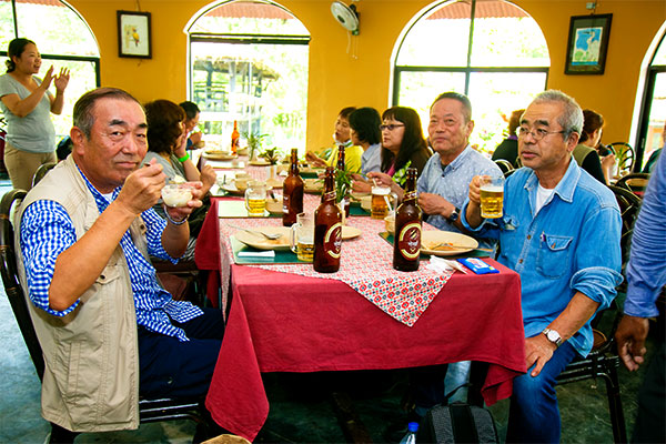 Island Jungle Resort