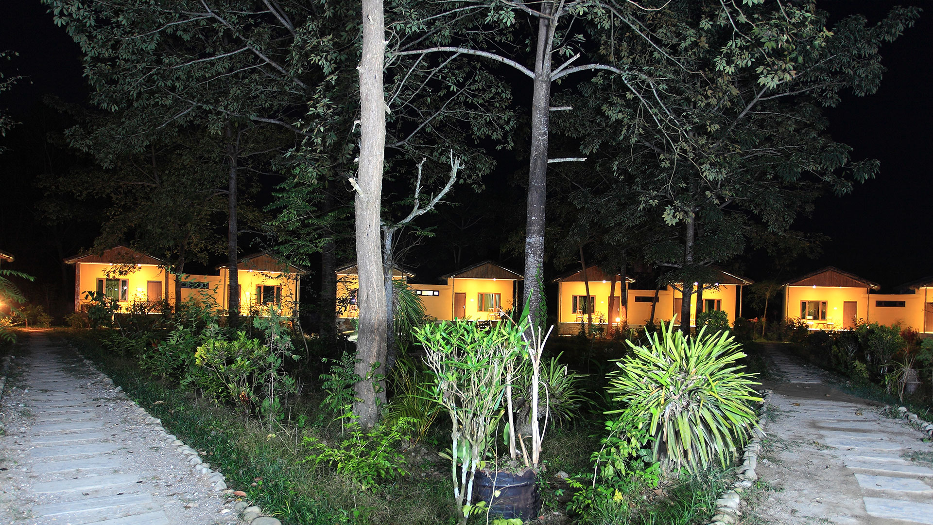 Island Jungle Resort