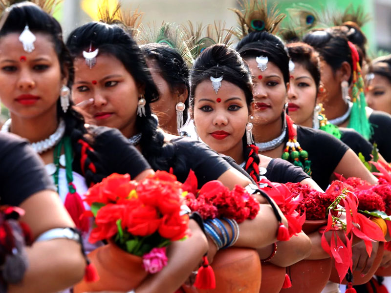 Island Jungle Resort