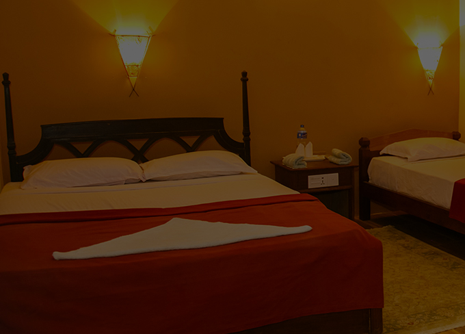 Island Jungle Resort