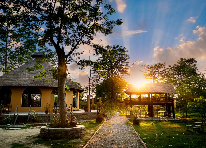 Island Jungle Resort