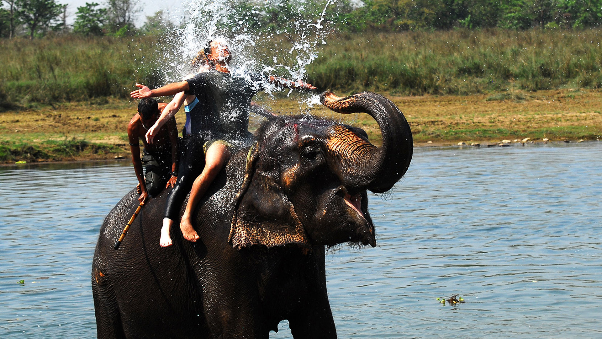 Island Jungle Resort