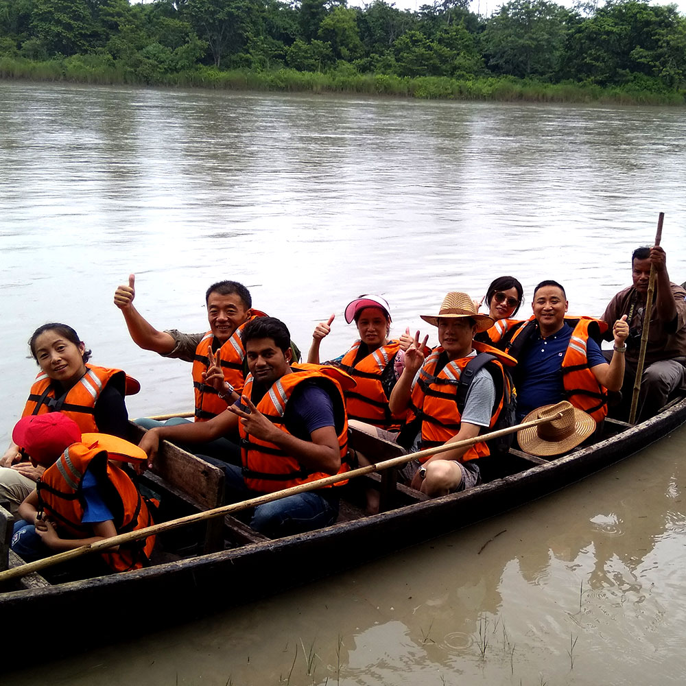 Island Jungle Resort