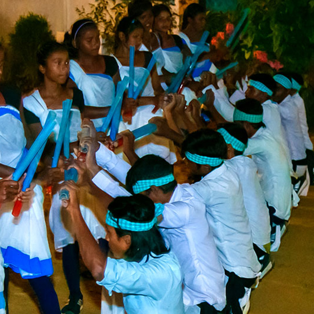 Island Jungle Resort