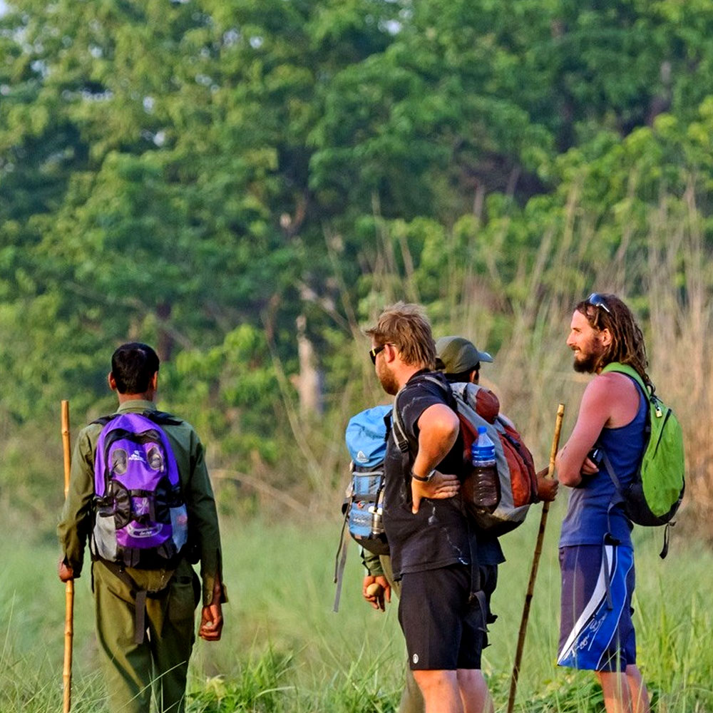 Island Jungle Resort