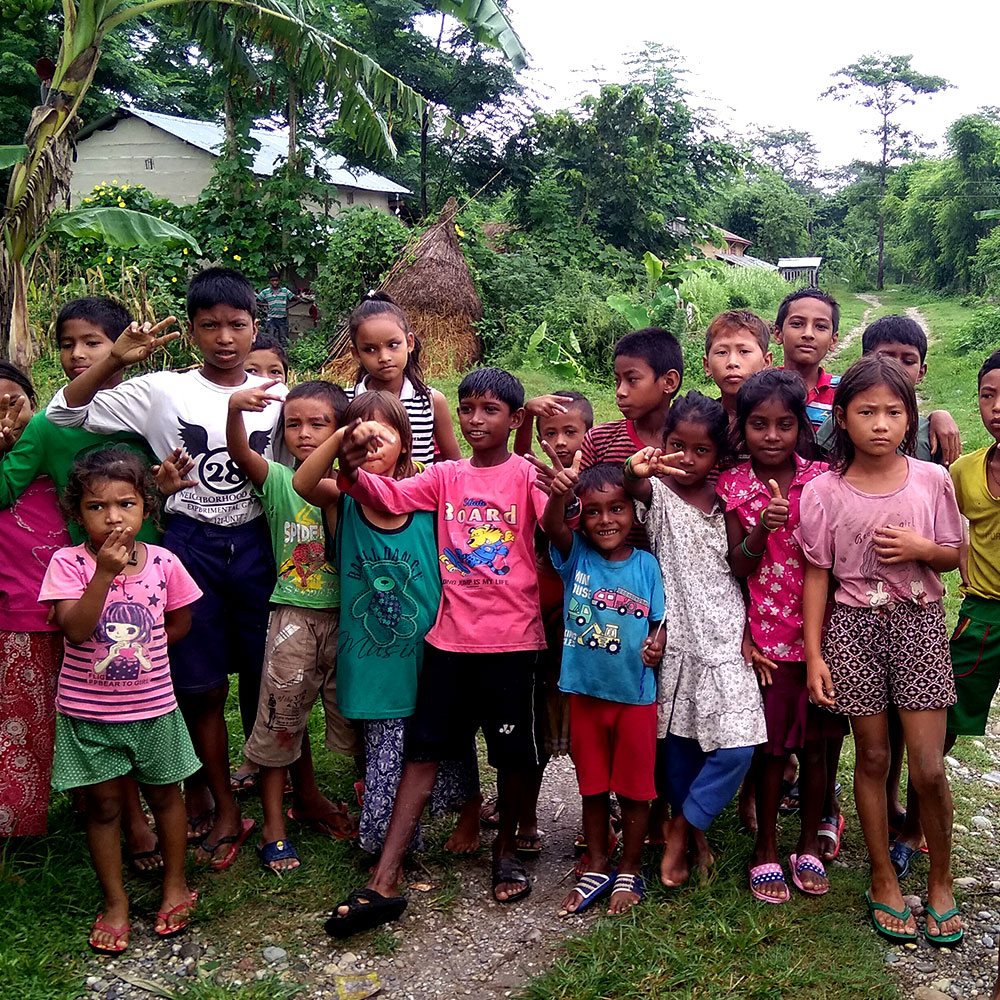 Island Jungle Resort